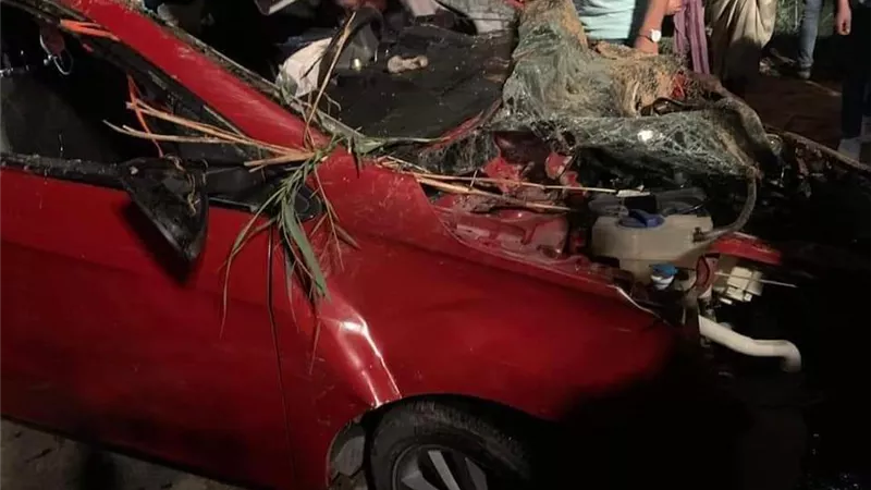 مصرع واصابة 6 فى انقلاب سياره بترعة الابراهيميه ببنى سويف