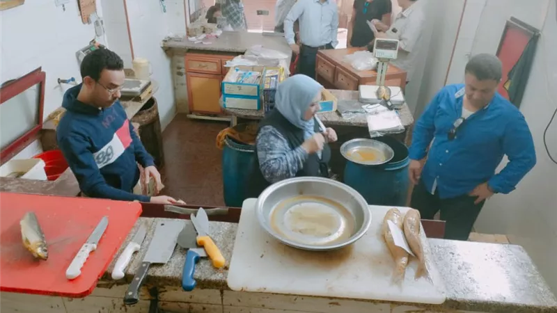 محافظة الجيزة تضبط أسماك مملحه 