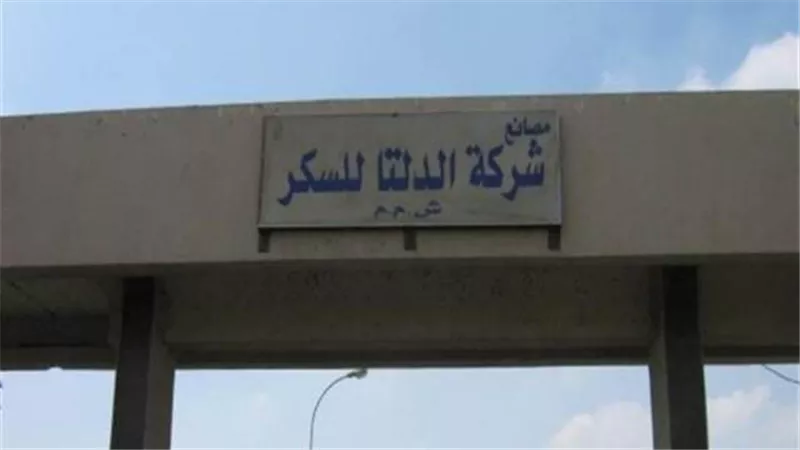 الدلتا للسكر: استلام مليون طن بنجر من المزارعين وإنتاج 144 ألف طن سكر حتى الآن