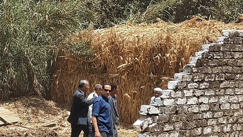 إزالة 19 حالة تعد على أرض زراعية وبناء مخالف ببنى سويف في أول وثاني أيام العيد