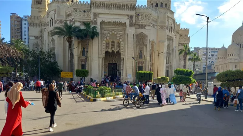 الاسكندريه كامله العدد برحلات اليوم الواحد