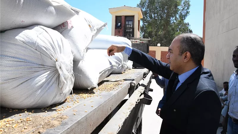 السكرتير المساعد بقنا يتابع توريد محصول القمح بصومعة المراشدة