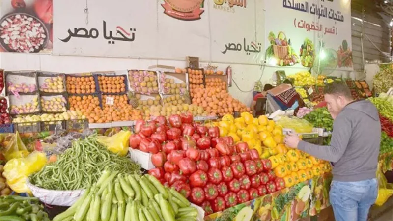 مصر في أمان.. والاقتصاد العالمي يعاني الركود والارتباك