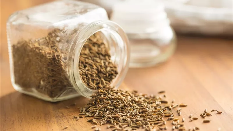 السر في الكمون.. يحميك من 6 أمراض خطرة ومميتة.. تعرف عليها