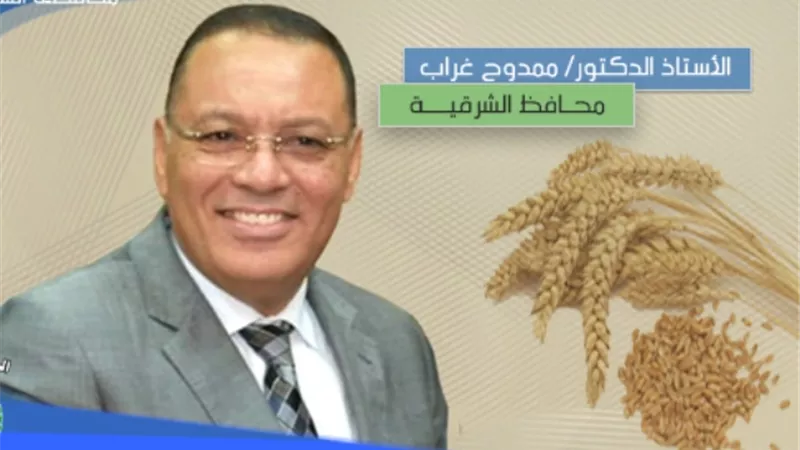 محافظ الشرقية يتابع حصاد وتوريد الذهب الأصفر في 55 صومعة..صور