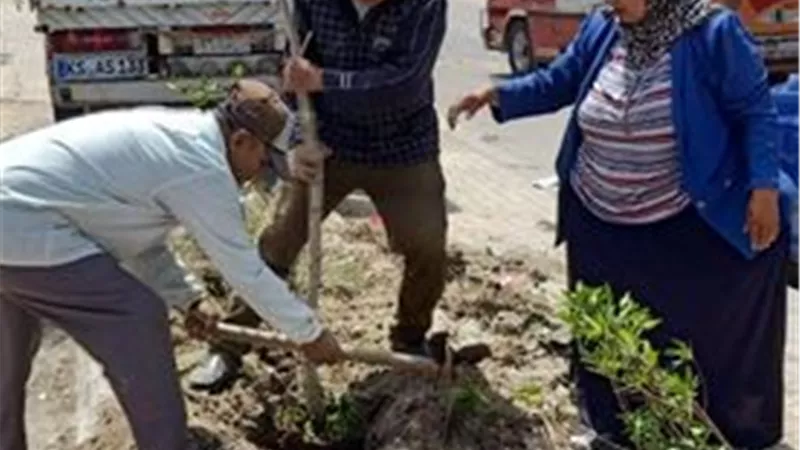 التحفظ على عدد كبير من الشيش وازالة الاشغالات والاهتمام بالحدائق