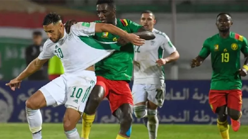 الفيفا يحسم ملف مباراة الجزائر والكاميرون فى تصفيات المونديال