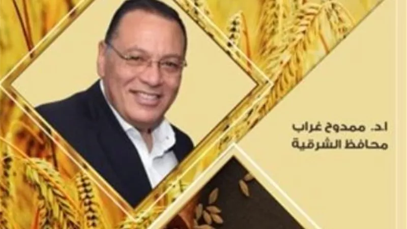 صوامع الشرقية تستقبل ١٢٧٥١٣ ألف طن من سنابل الذهب الأصفر