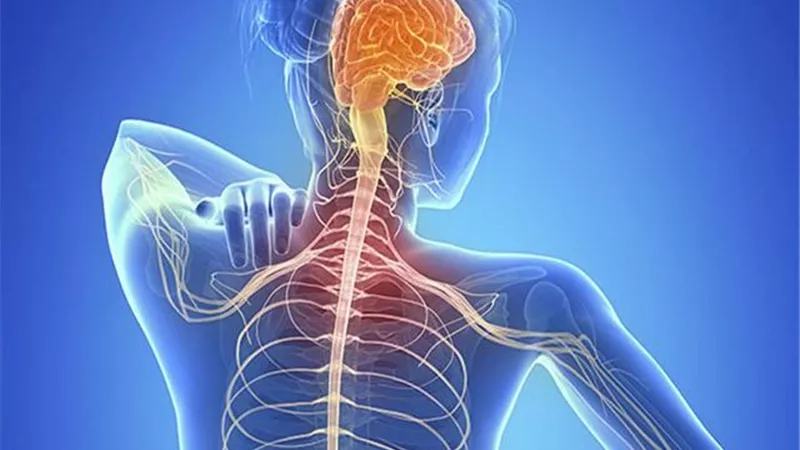 ما هى أعراض التصلب المتعدد؟ الدواء توضح
