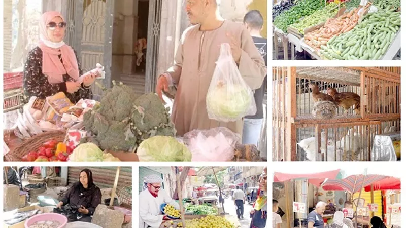 مصر بخير لا أزمات.. لا طوابير.. لا نقص فى السلع