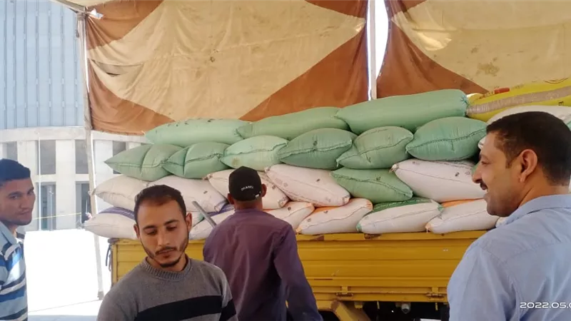شون وصوامع كفرالشيخ تستقبل محصول القمح من المزارعين