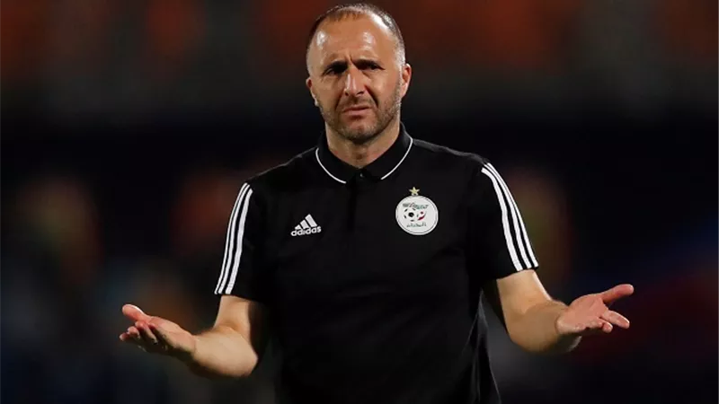 المدير الفنى لمنتخب الجزائر : الأهلى الأفضل فى إفريقيا