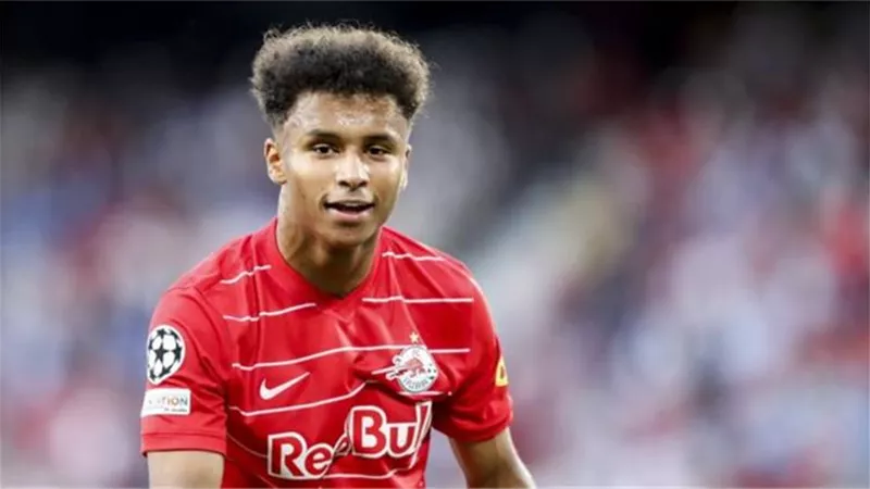 دورتموند يضم مهاجم ريد بول النمساوى