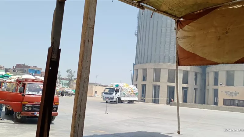 تواصل توريد محصول القمح من مزارعيه للصوامع بكفر الشيخ