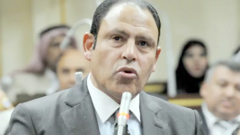 عضو بالنواب مهاجما المنظومة الصحية بمحافظة المنيا: 