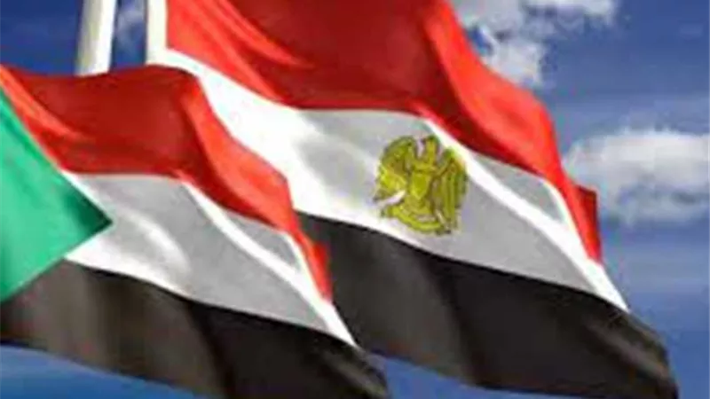 وفد المجتمع المدني المصري إلى السودان