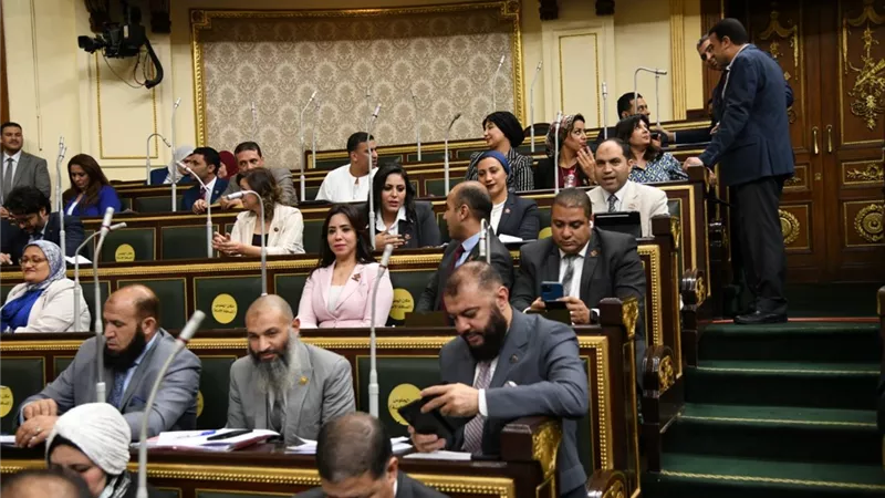 النائبة مارثا محروس: اجتياز درجة الدكتوراة أسهل من حصول ذوى الإحتياجات الخاصة على بطاقة الخدمات المتكاملة