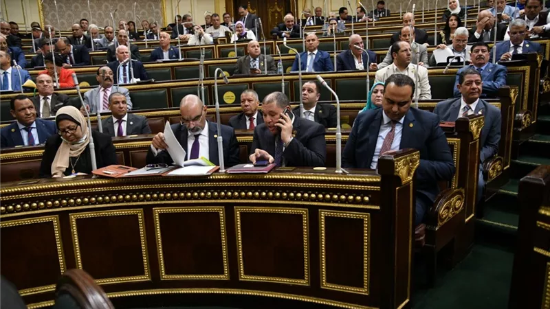 محمد زين الدين يحذر من انتشار منتجات غذائية غير مطابقة للمواصفات