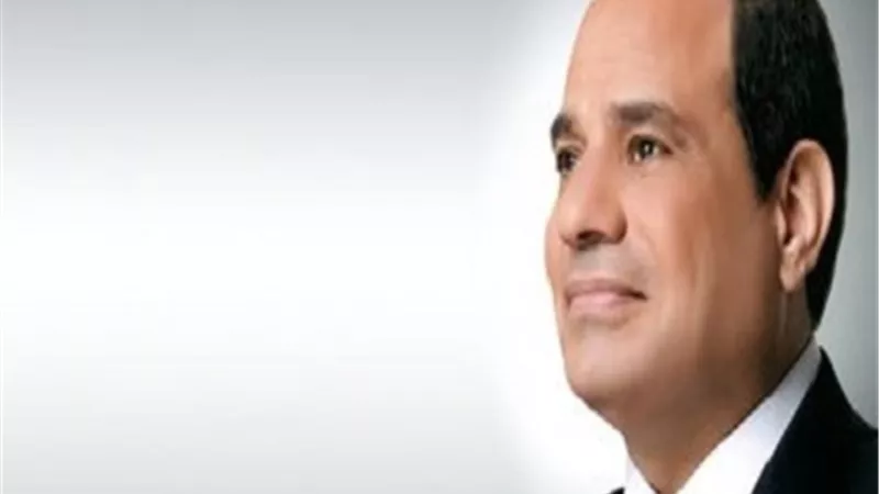 الرئيس السيسي عن أزمة الطلاق: العقد والقانون لازم يكون الحاكم والمنظم لهذه القضية.. فيديو