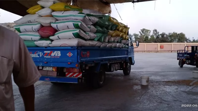 استمرار توريد محصول القمح بكفر الشيخ