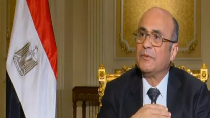 وزير العدل: فصل جميع الموظفين التابعين للخلايا الإخوانية من منظومة القضاء.. فيديو