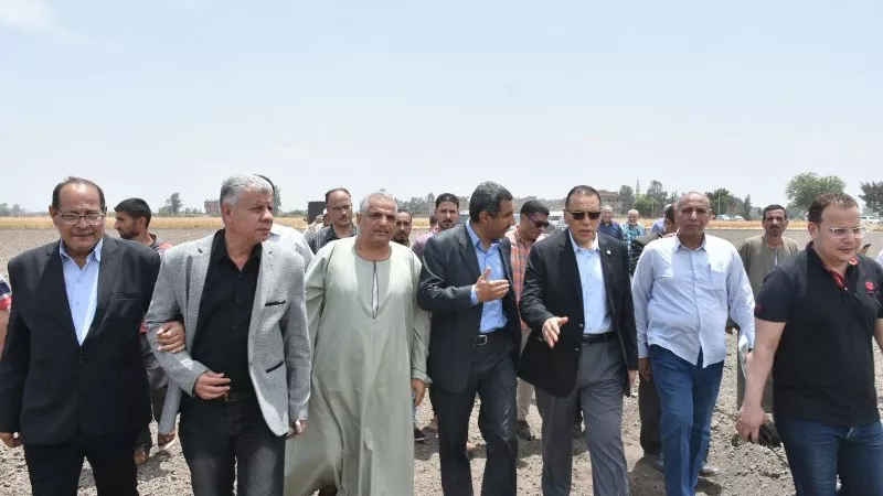 محافظ الشرقية يشهد أعمال حصاد الذهب الأصفر بأحد حقول ههيا