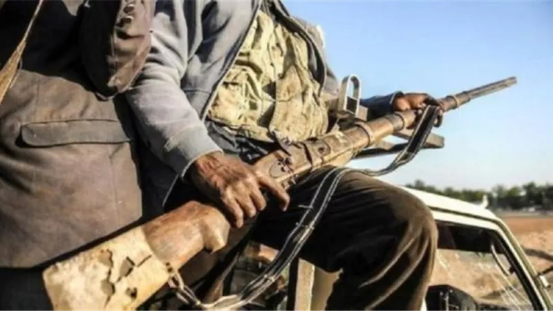 مصرع 7 جنود نيجيريين جراء هجوم مسلح شرقي البلاد
