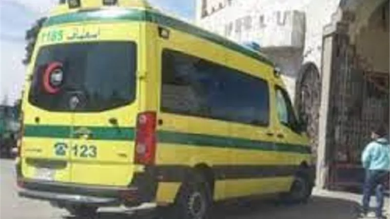 العثور على جثة طفلة مجهولة الهوية وبها إصابات بالدقهلية