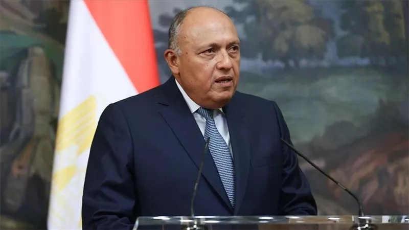 شكري يؤكد لرئيسة وزراء الدنمارك الاهتمام بدفع العلاقات الثنائية