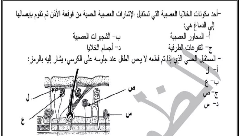 الاختبار الثانى فى الاحياء للصف الثانى الثانوى.. اوعى تفوته