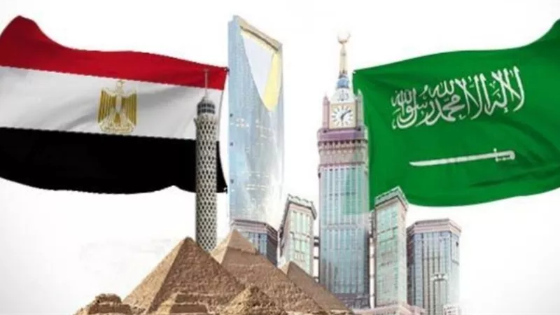 مصر والسعودية.. علاقات تاريخية أكثر ازدهارا فى عهد الرئيس السيسى