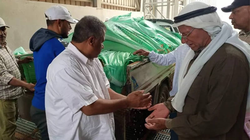 بتسهيلات و متابعات..الذهب الأصفر يتدفق على صوامع القنطرة شرق ..صور