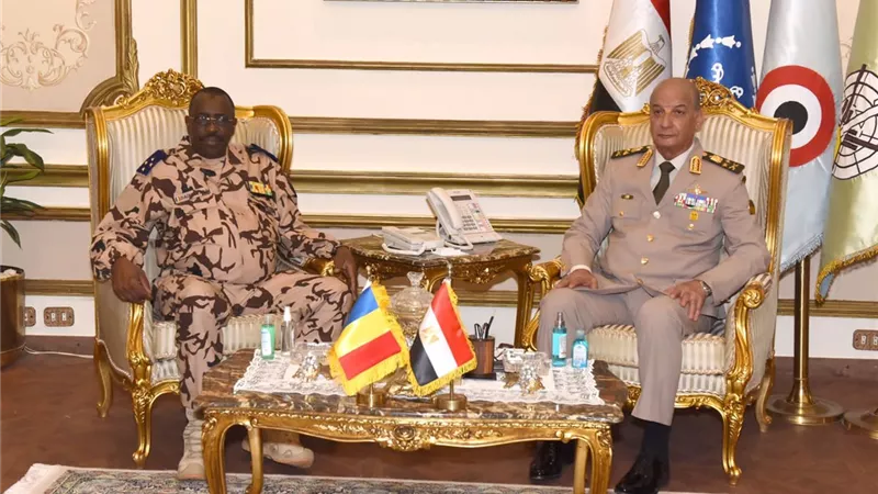 وزير الدفاع يلتقى وزير الدفاع الوطنى بجمهورية تشاد