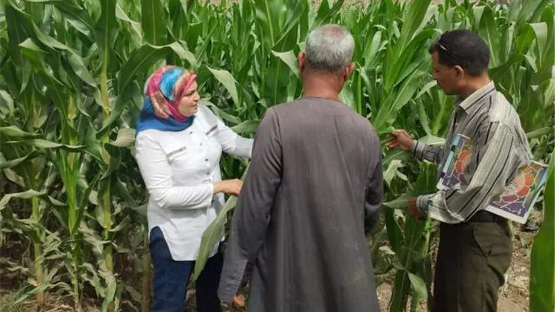 المكافحة بأسيوط تتفقد زراعات القطن والذرة بأبنوب لمتابعة تركيب المصائد