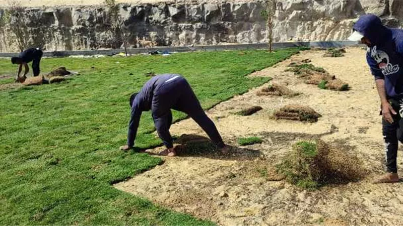 خلف الله يعلن عن أهم أعمال مشروعات الزراعة لجهاز تنمية 15 مايو فى المدينة.. بالصور