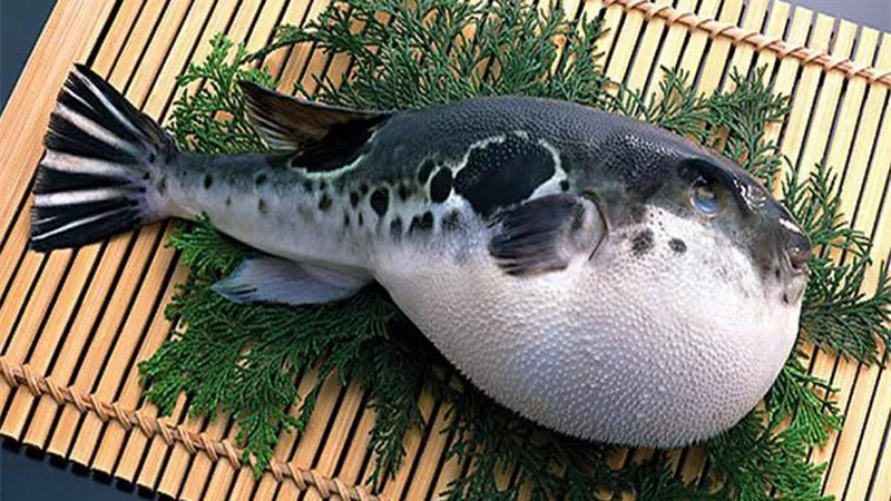 طبق 