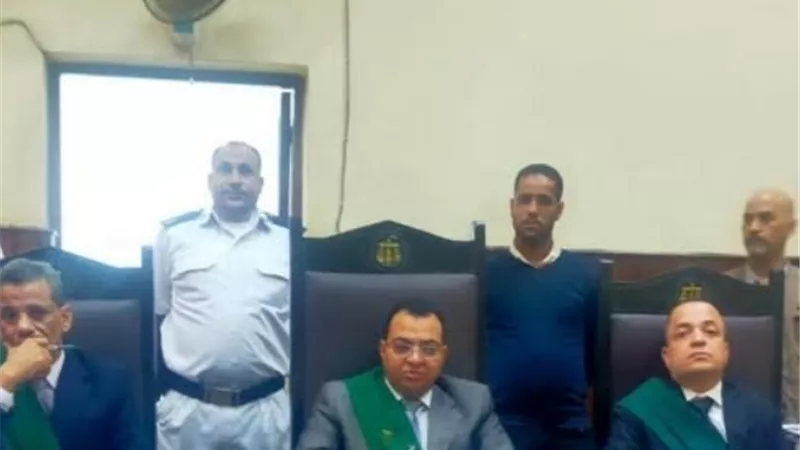 المؤبد لمحصل الكهرباء بالمنيا والعزل من وظيفته ورد المبلغ المستولى عليه