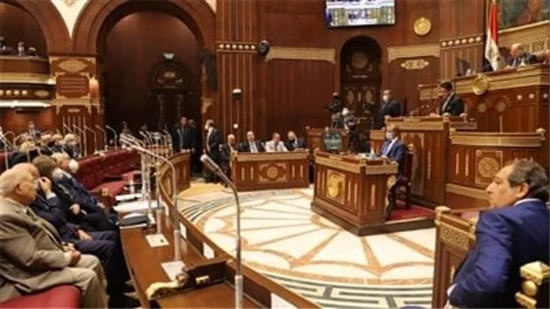 وكيل الشيوخ يطالب بقانون موحد للقضاء على العقبات التى تواجه المستثمرين