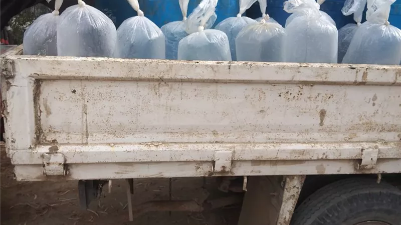 ضبط سيارتين محمل عليهما 48 ألف وحدة زريعة بلطى وطوبار بكفر الشيخ