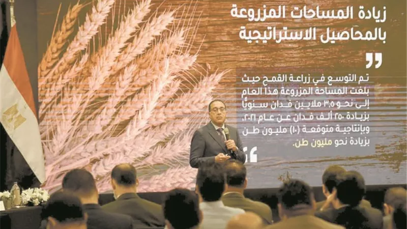 خبراء الاقتصاد: نسير على الطريق الصحيح