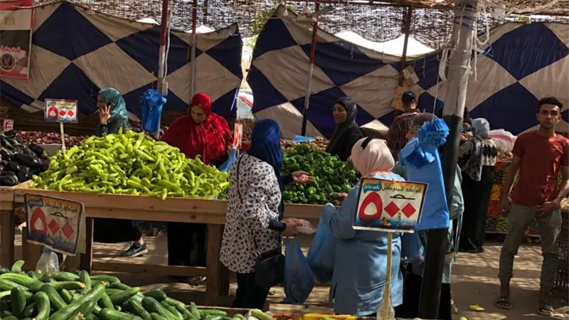 7 جنيه للطماطم . ننشر أسعار الخضر والفاكهة بالإسماعيلية