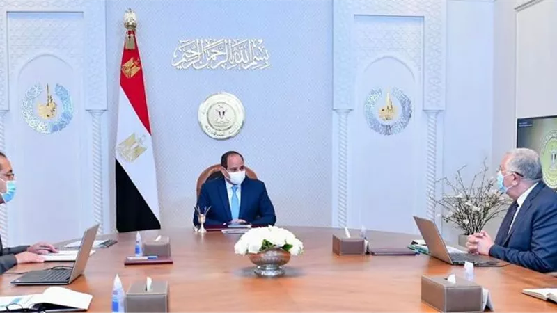 الرئيس السيسى يوجه بدعم القدرة التنافسية للمنتجات الزراعية المصرية محليًا ودوليًا