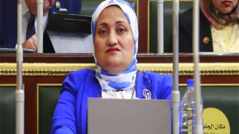 النائبة سناء السعيد : قانون الأحوال الشخصية هدفه تحقيق استقرار الأسرة