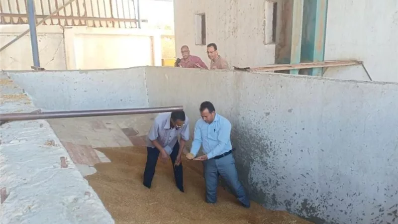 مصادرة ١٠ طن قمح بأحد المطاحن الخاصة بالقنطرة