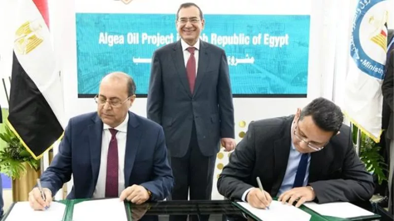 مذكرة تفاهم بين المصرية القابضة للبتروكيماويات وشركة إماراتية لإنتاج زيت الطحالب