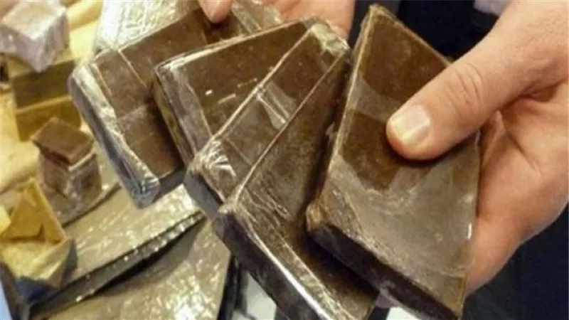 ضبط ١٤ طربة حشيش و٢٥٠٠ جرام من الافيون واسلحة فى أسيوط