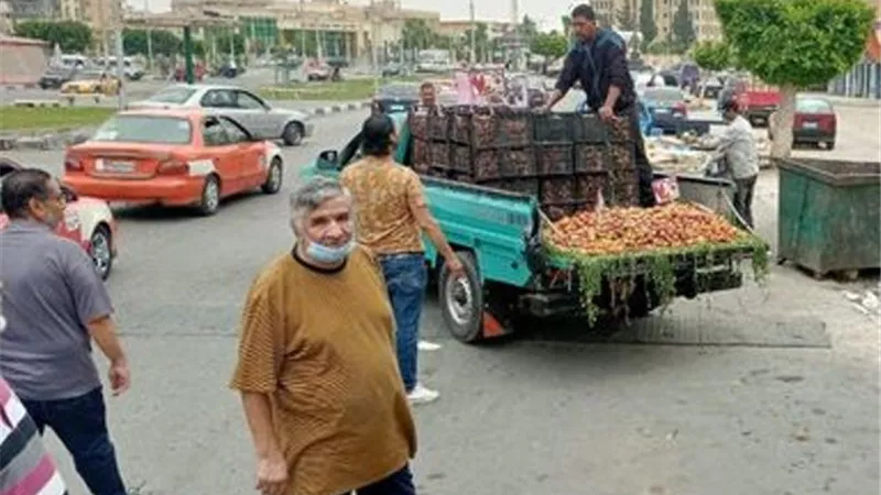 تكثيف حملات عودة الإنضباط لشوارع الإسماعيلية..صور