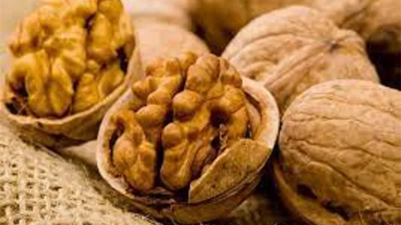 فوائد لا تعرفها عن عين الجمل