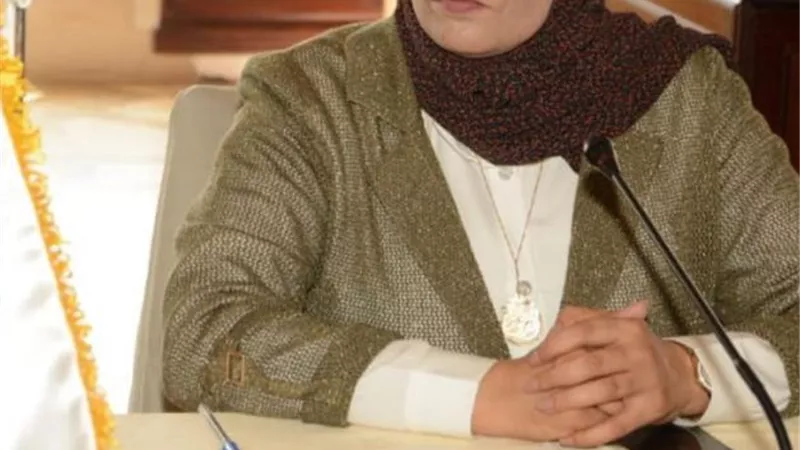 هوية بصرية، وشبكة برلمانية، ناطق رسمي، وبرنامج تعريفي وتثقيفي لتعزيز ثقافة حقوق الإنسان