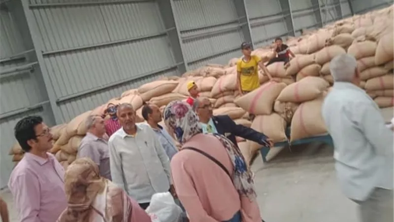محافظ الإسماعيلية: توريد ٣٢ ألف طن أقماح حتى الآن